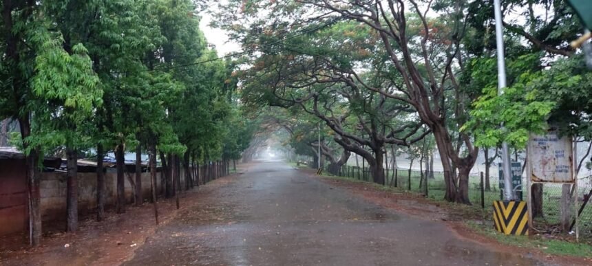 Cyclone Michaung: चक्रवात मिचौंग का झारखंड में दिखने लगा असर, बदला मौसम का मिजाज- Panchayat Times